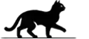 Walking Cat 1