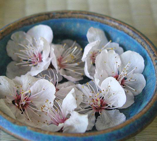 じねんのことはり