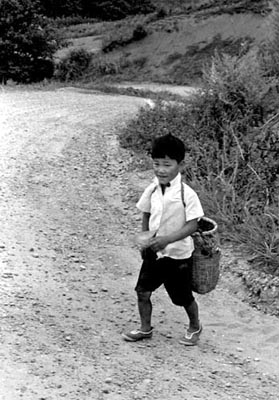 畑へ行く少年  1970年